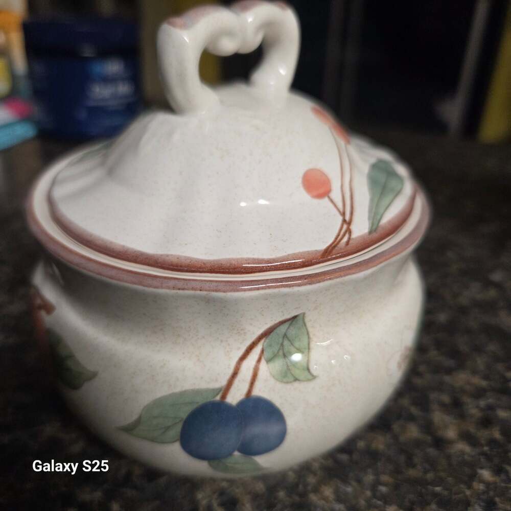 Mikasa Country Classics Fruit Panorama Sugar Bowl with Lid DC014